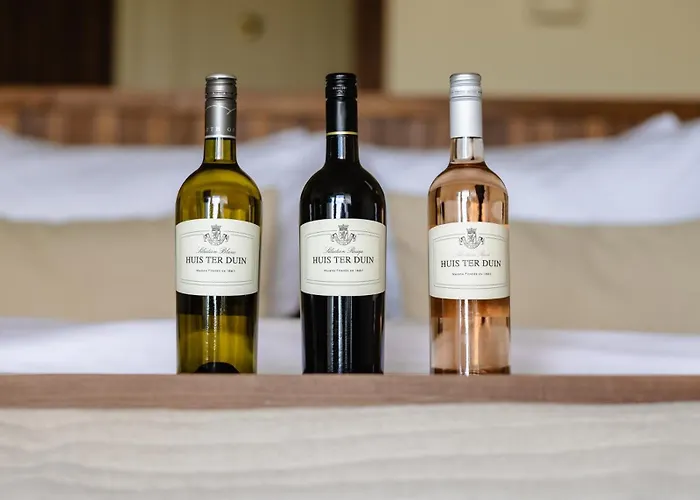 ホテル Grand Ter Duin 5*